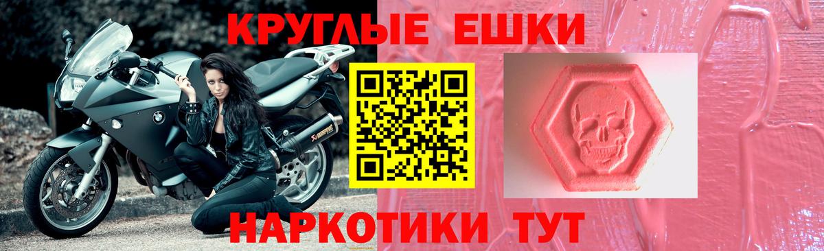 Петрозаводск  Экстази Philipp Plein  ЭКСТАЗИ  Экстази Philipp Plein  Вход с VPN 