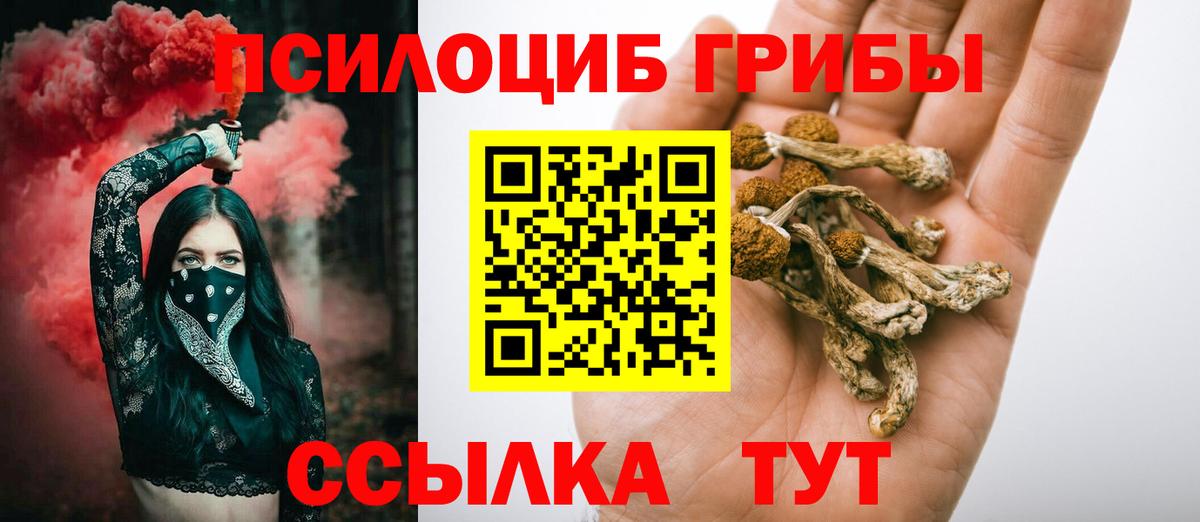 Псилоцибиновые грибы GOLDEN TEACHER Петрозаводск