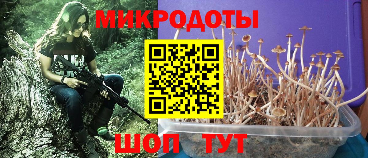 Петрозаводск  Псилоцибиновые грибы GOLDEN TEACHER  Вход с VPN 